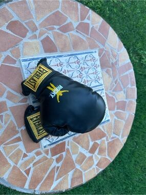 Rare Vintage 2006 Everlast "Rocky Balboa" Limited Edition Boxing Gloves